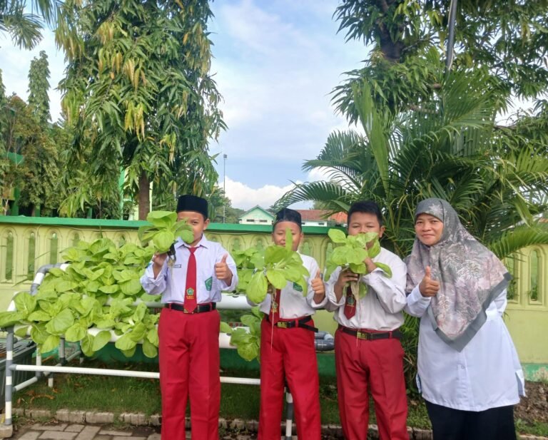 Panen Sawi Hidroponik, Siswa MIN 1 Sidoarjo Belajar Kewirausahaan